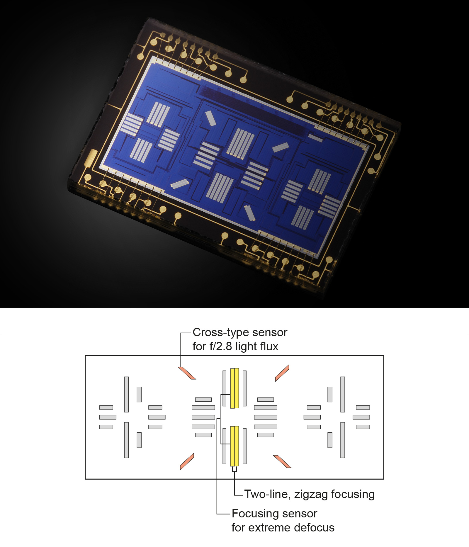 Kreuzlinien des Phasen Autofokussystem 