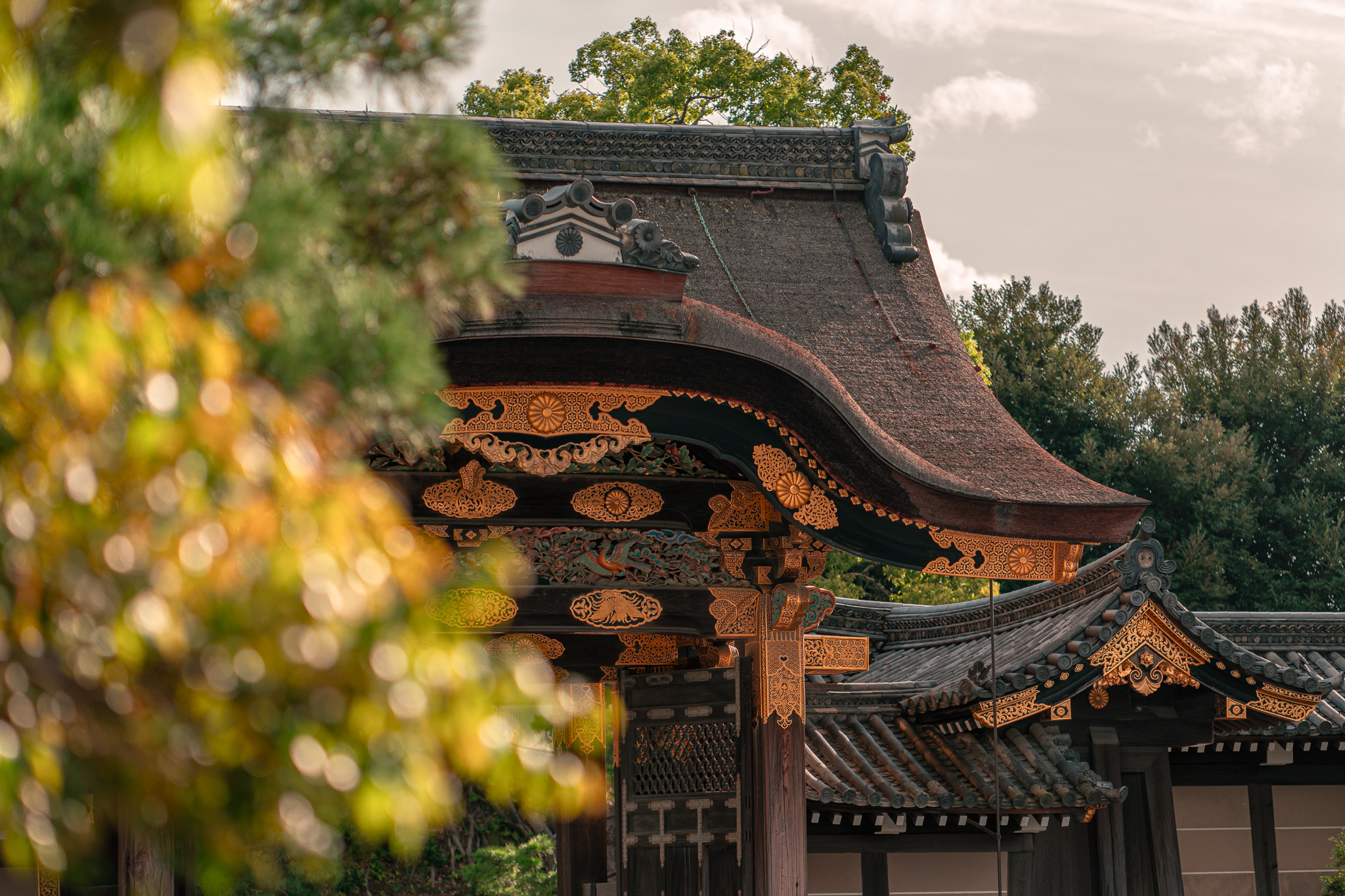 Kyoto Burg Nijo mit dem Lumix 70-200 f2,8