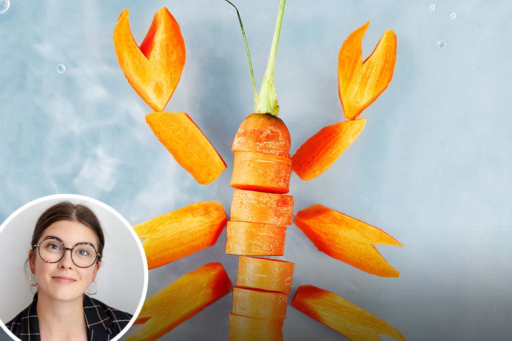 Abstrakt mit Humor - Foodfotografie mal anders - Live-Workshop mit Leah Bethmann