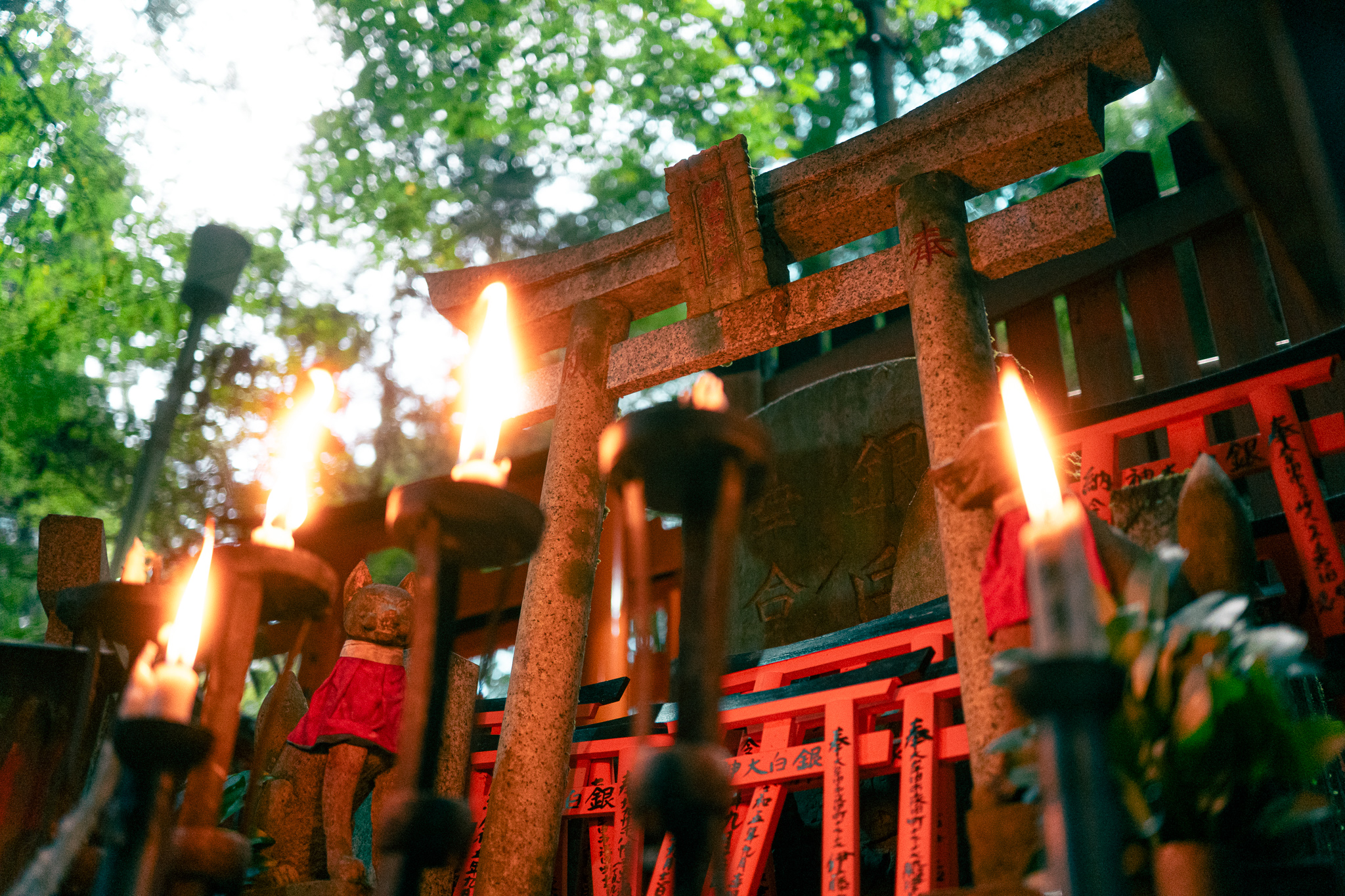 Uji By?d?-in mit Kranich und dem 24-105mm bei f4