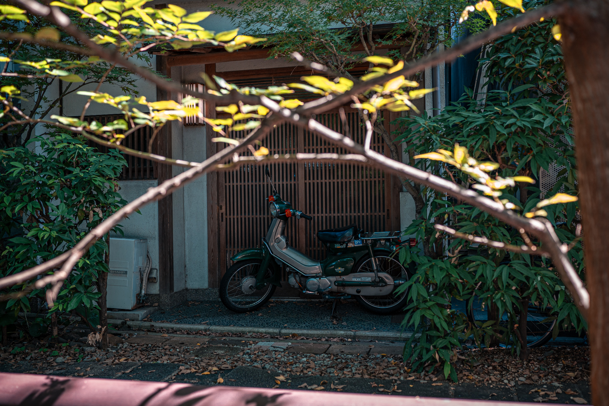 Unter dem Download findest du meine Konfiguration der Kamera