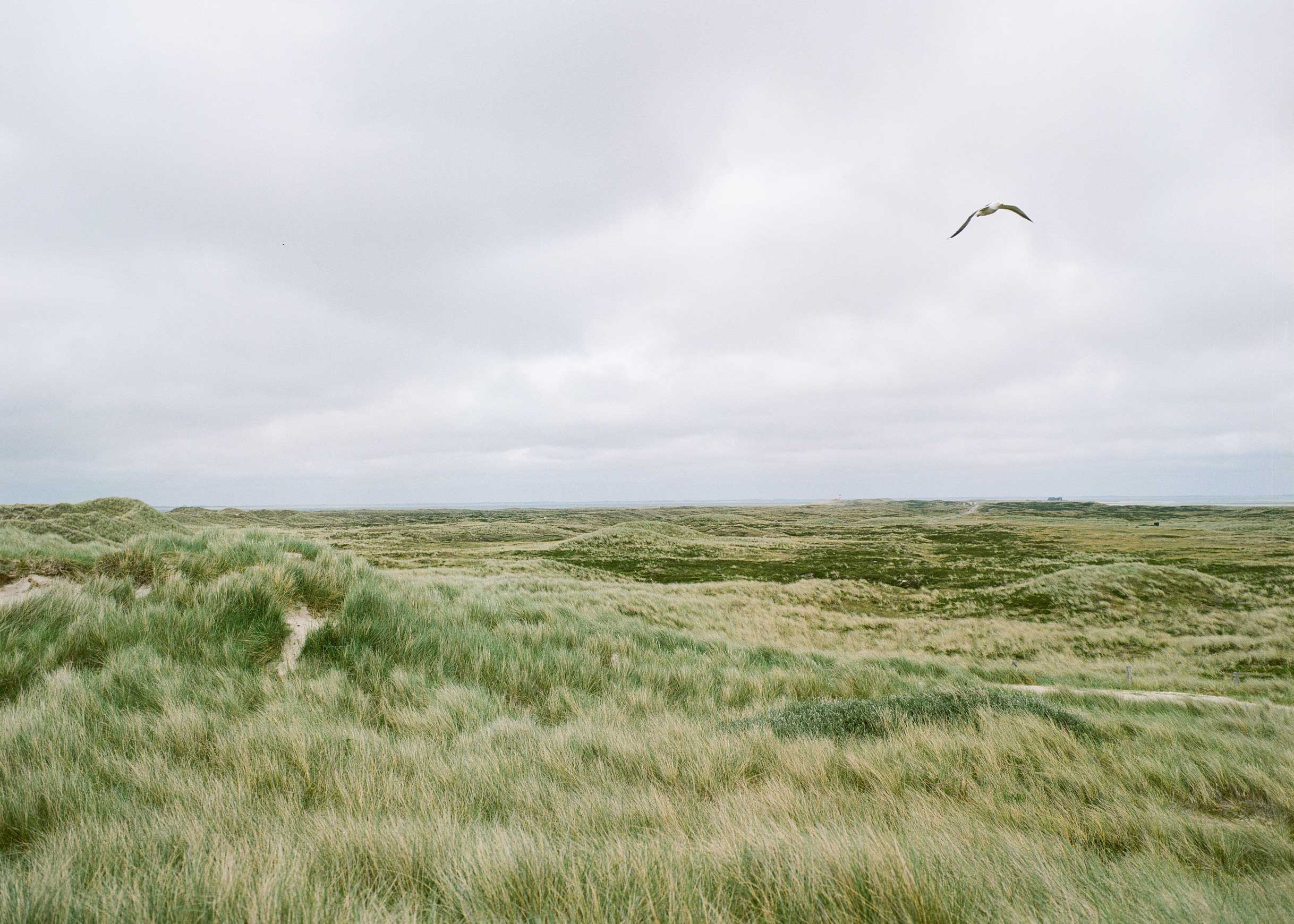 Ellenbogen Sylt (Lennart Filthuth - Mamiya 645, Kodak Portra 400)