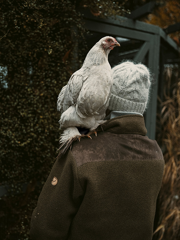 Mareen Fischinger - Friends not food