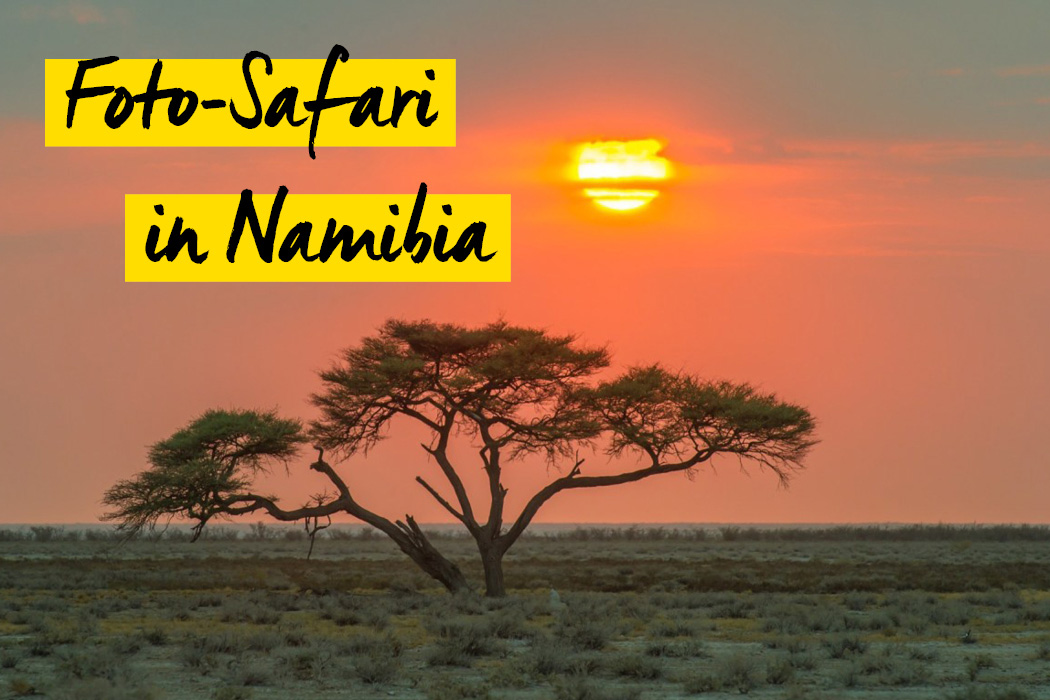 Fotosafari in Namibia