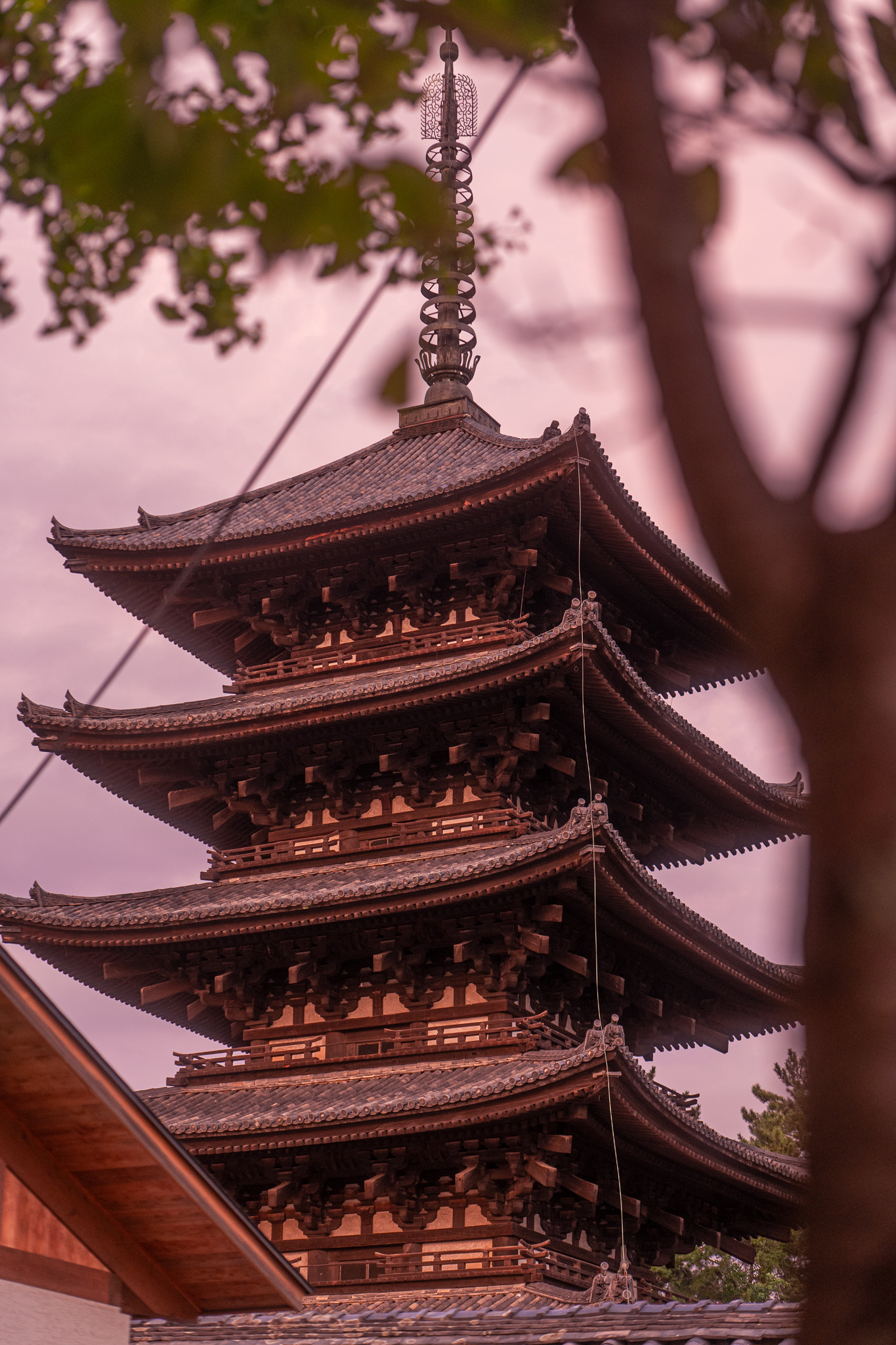 Nara - Kofuku-ji Gojunoto - Aufgenommen mit dem Lumix 70-200 f2,8