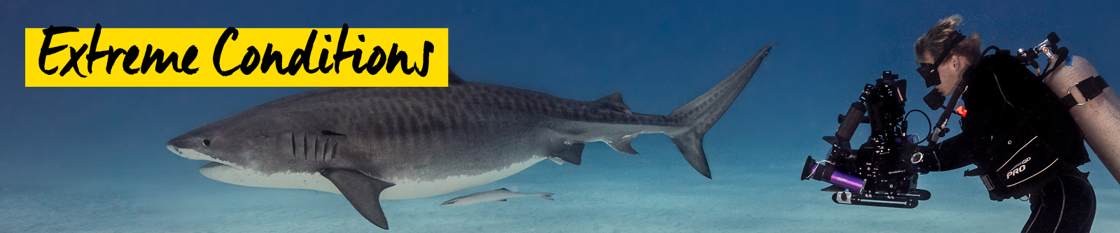 Extreme Conditions von Nicolai Deutsch