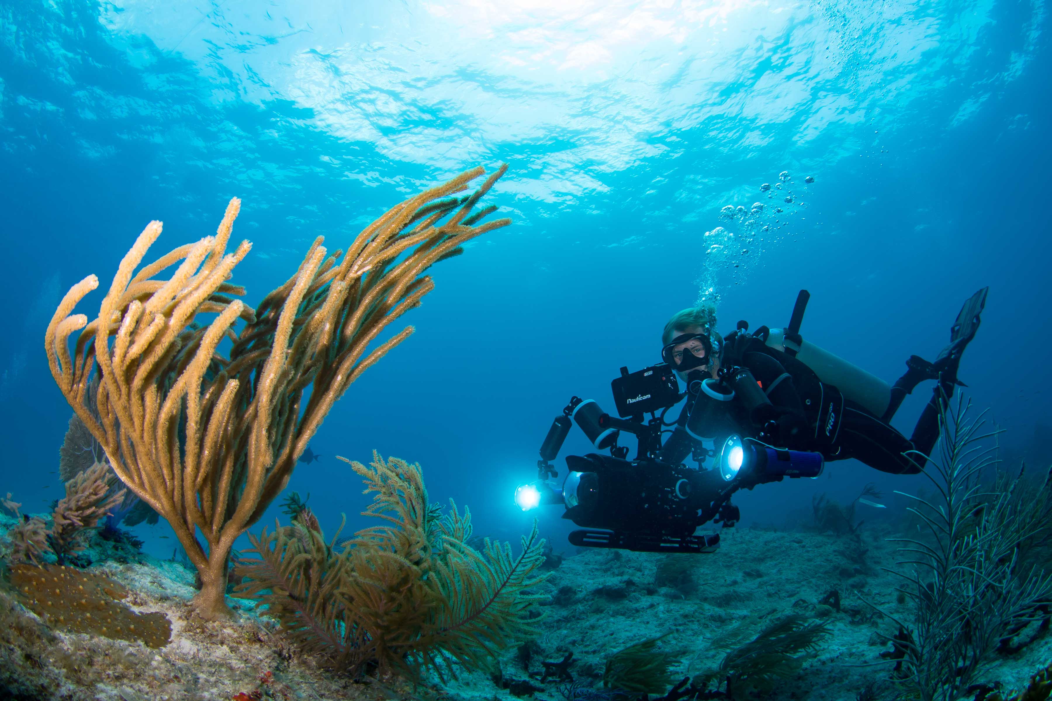 David-Tesinsky-the-power-to-change