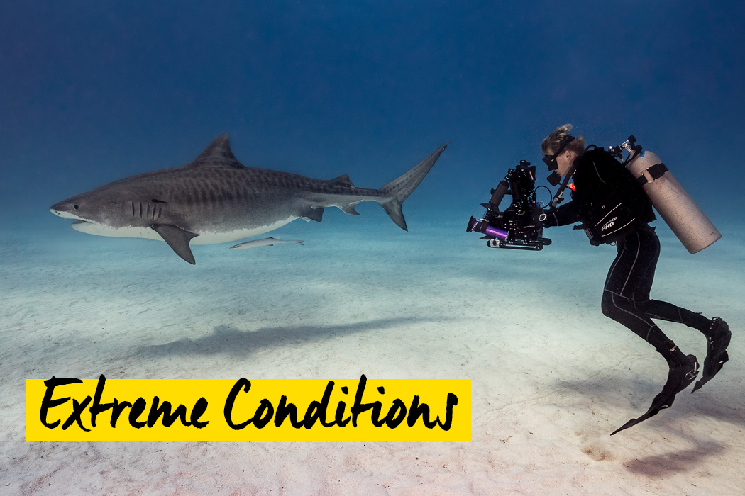 Extreme Conditions von Nicolai Deutsch