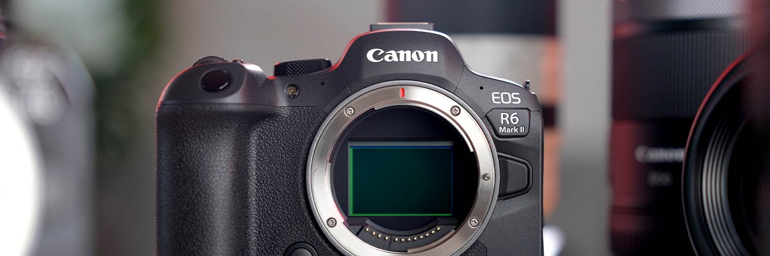 Canon EOS R6 II Foto Koch