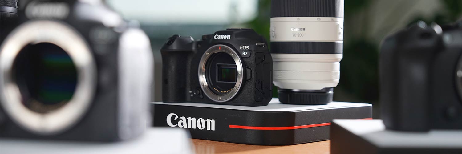 Canon EOS R7 Foto Koch