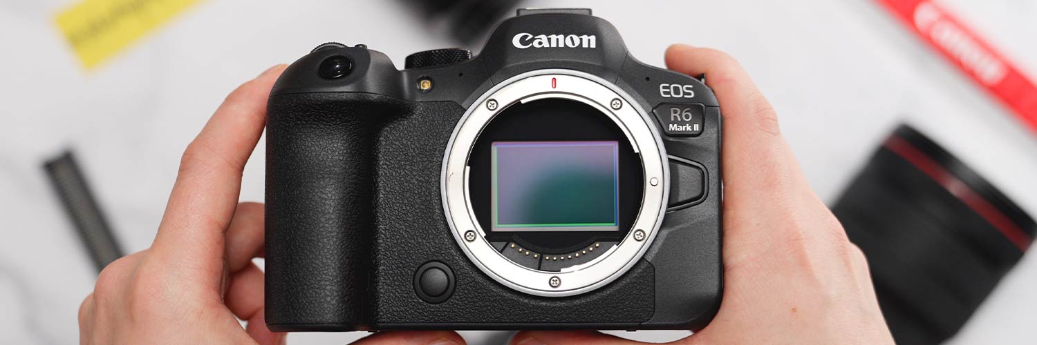Canon EOS R6 II Sensor Foto Koch
