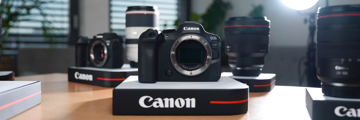 Canon EOS R6 II Foto Koch