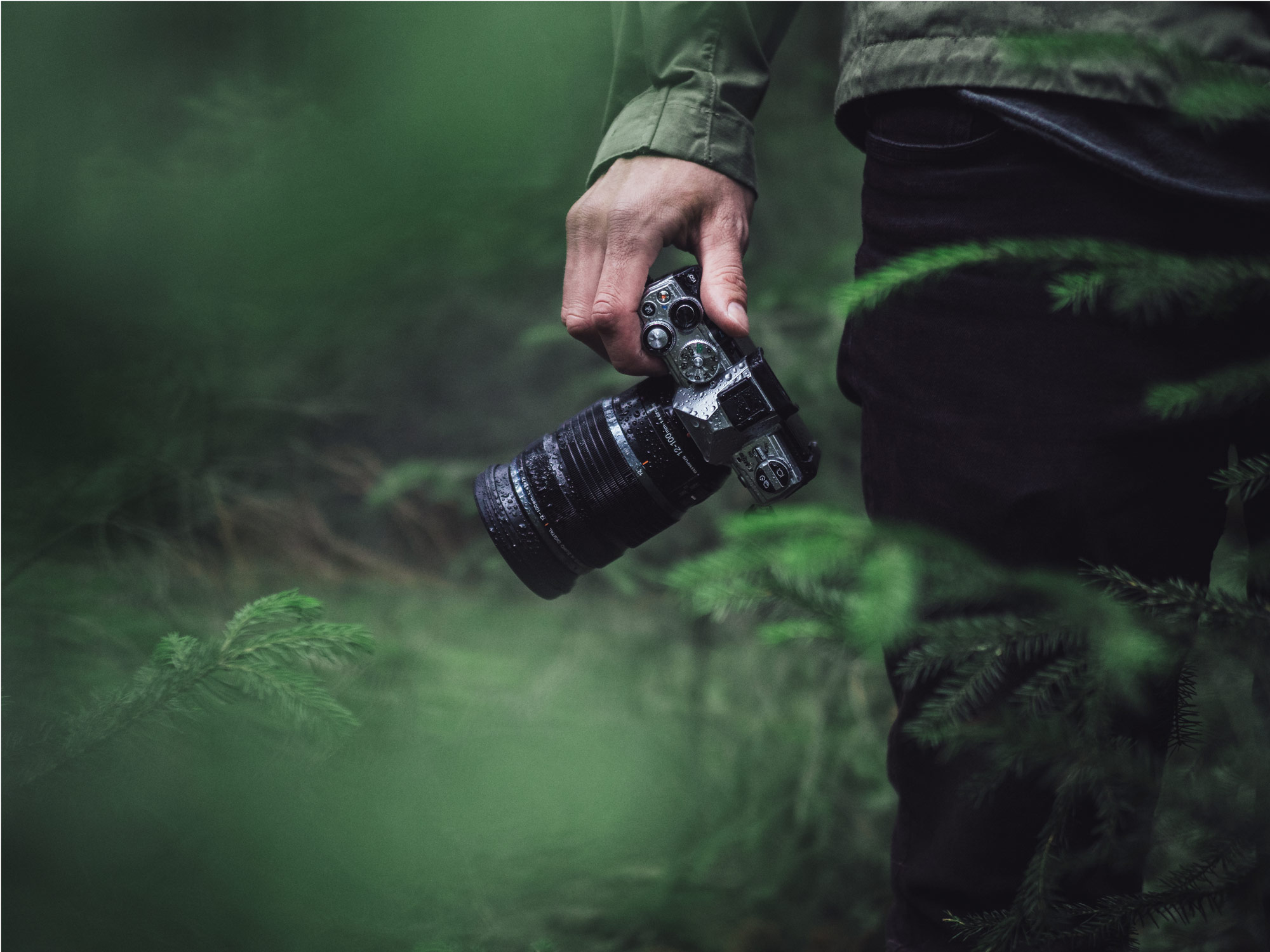 Olympus Kamera im Wald