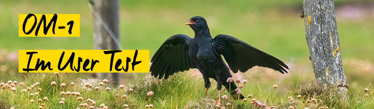 OM System OM-1