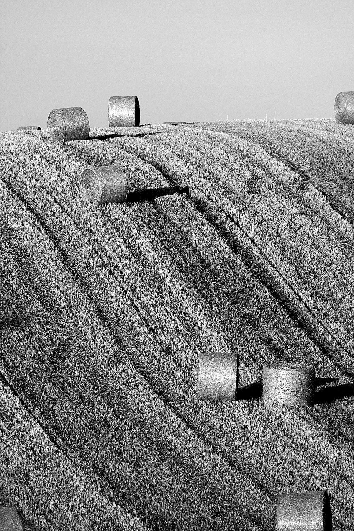 Heuballen in Landschaft