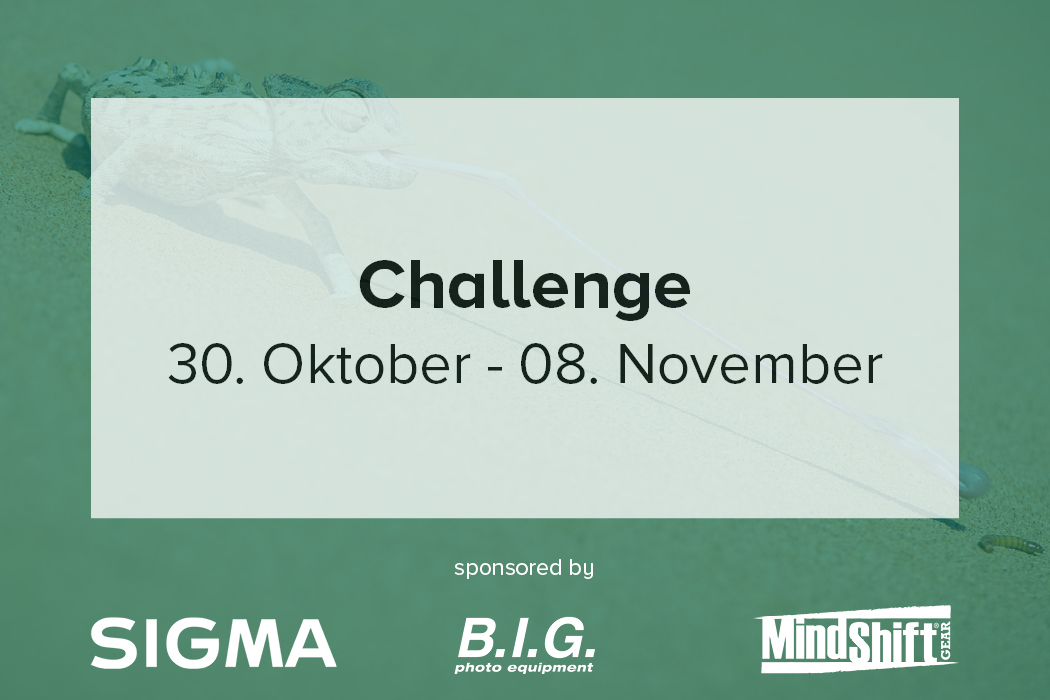 Online Fototage Challenge Natur