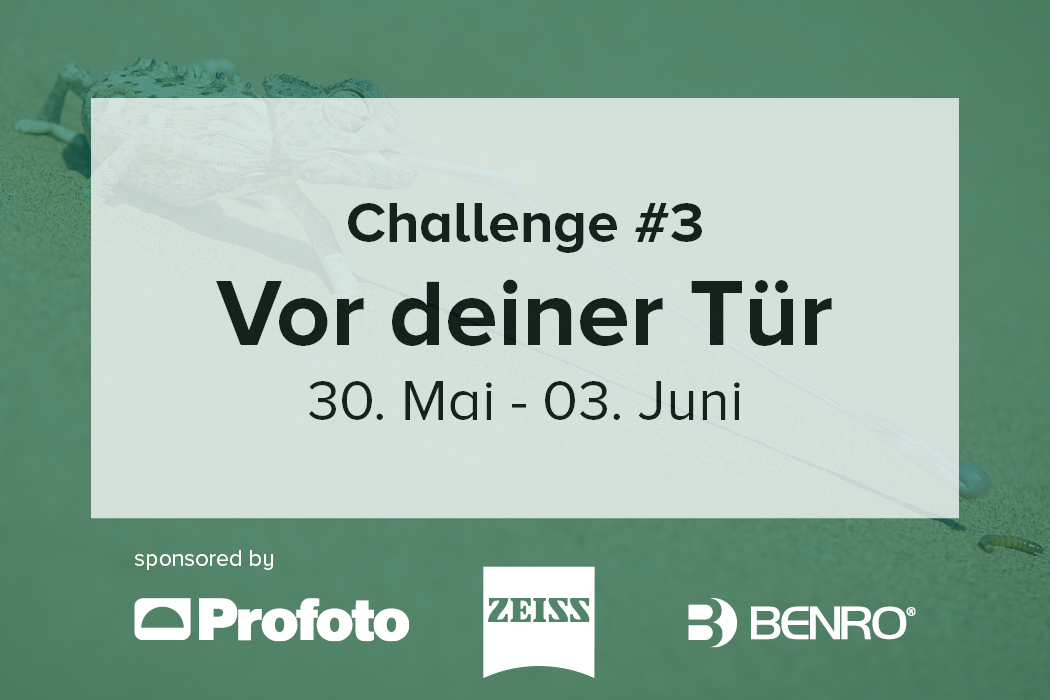 Online Fototage Challenge Zu Hause