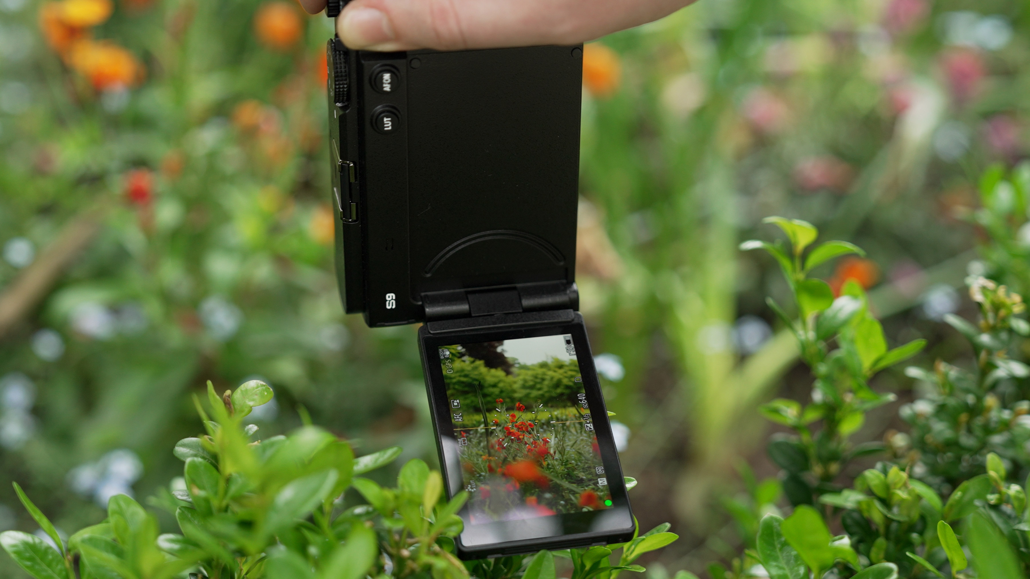 Review Panasonic Lumix DC-S9 - Test des Autofokus