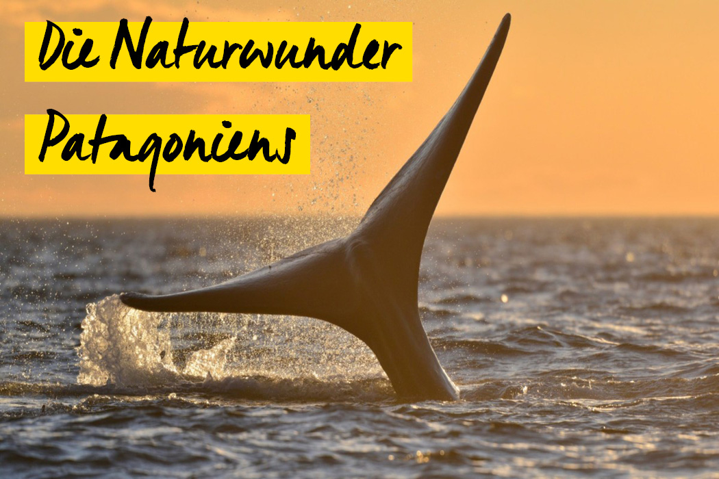 Die Naturwunder Patagoniens