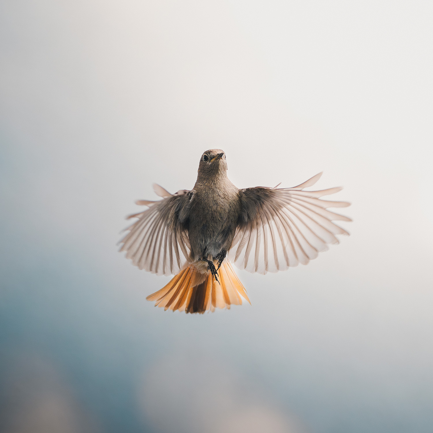 Fotowettbewerb Orange - Platz 10.