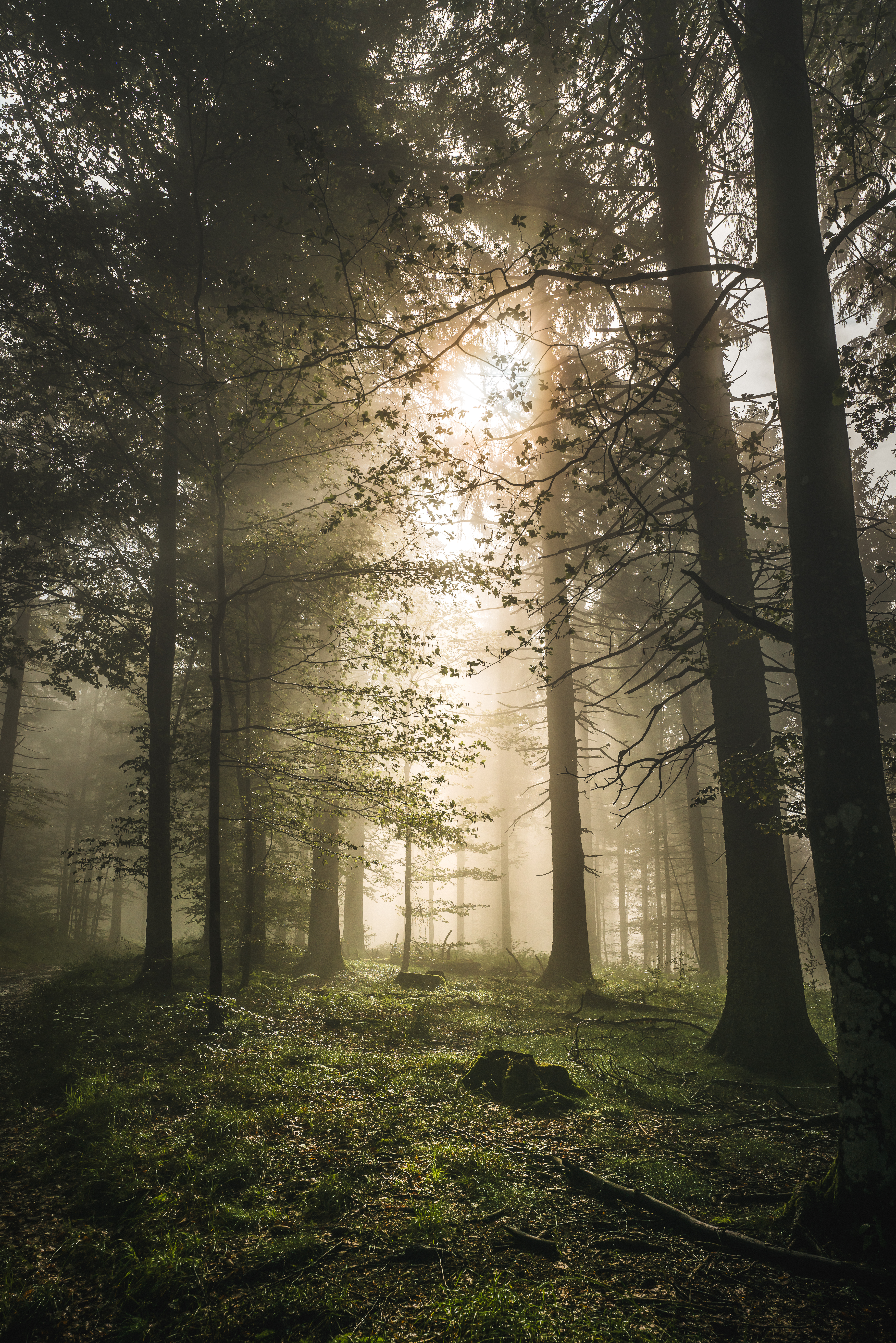 Platz Drei Fotocontest Landscape