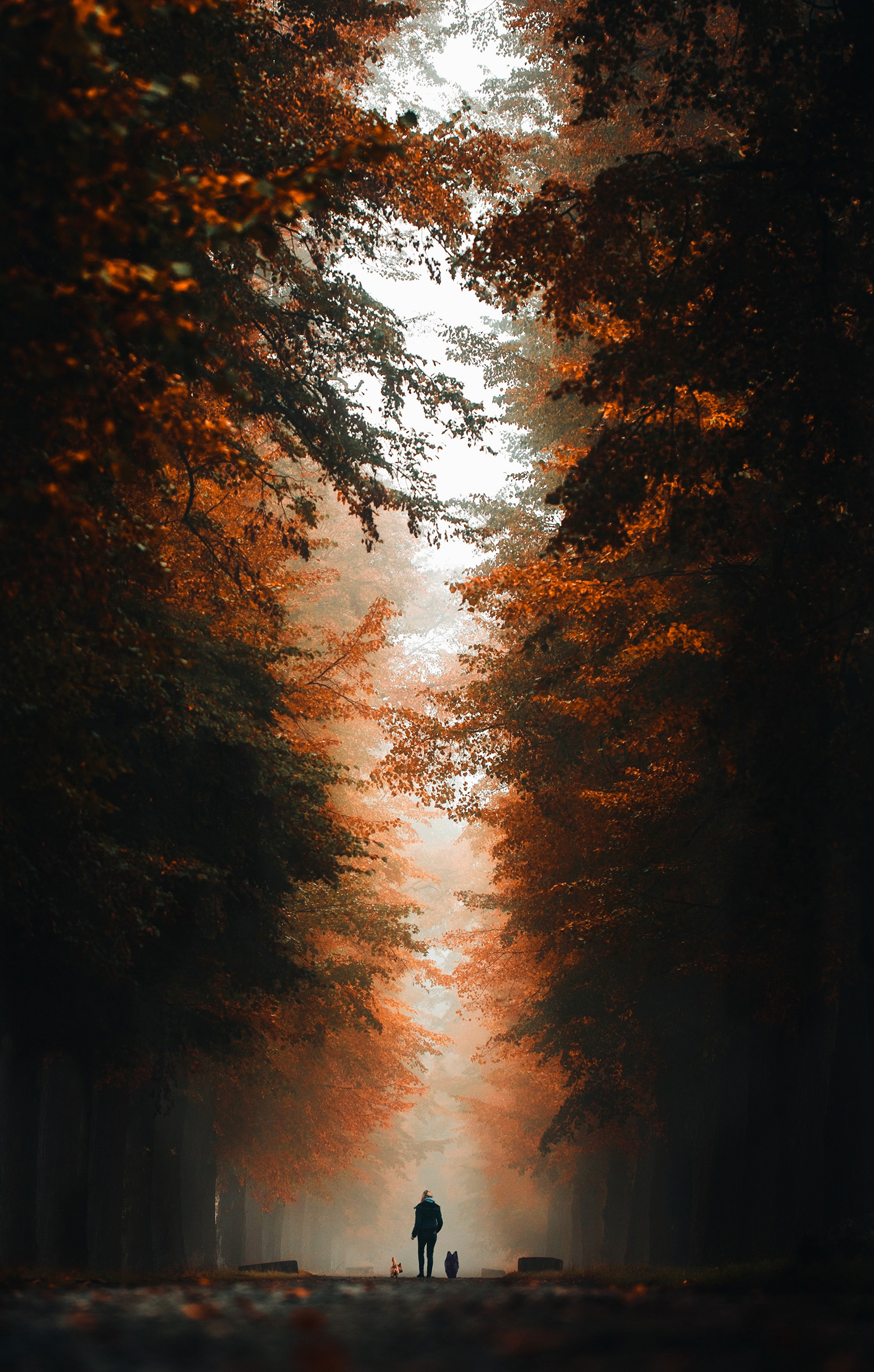 Fotowettbewerb Orange - Platz 8.