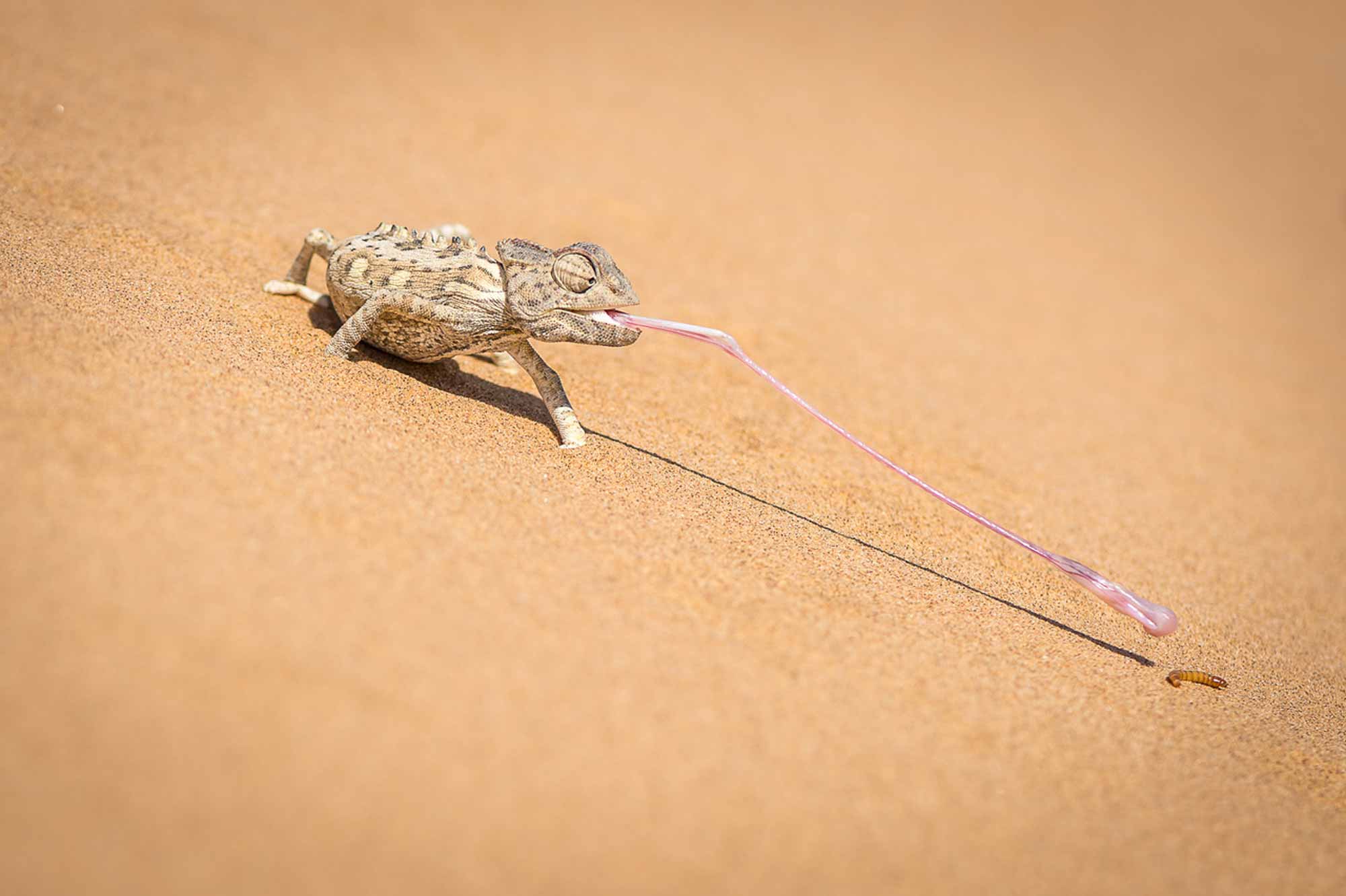 fotowettbewerb-platz-eins-augenblick