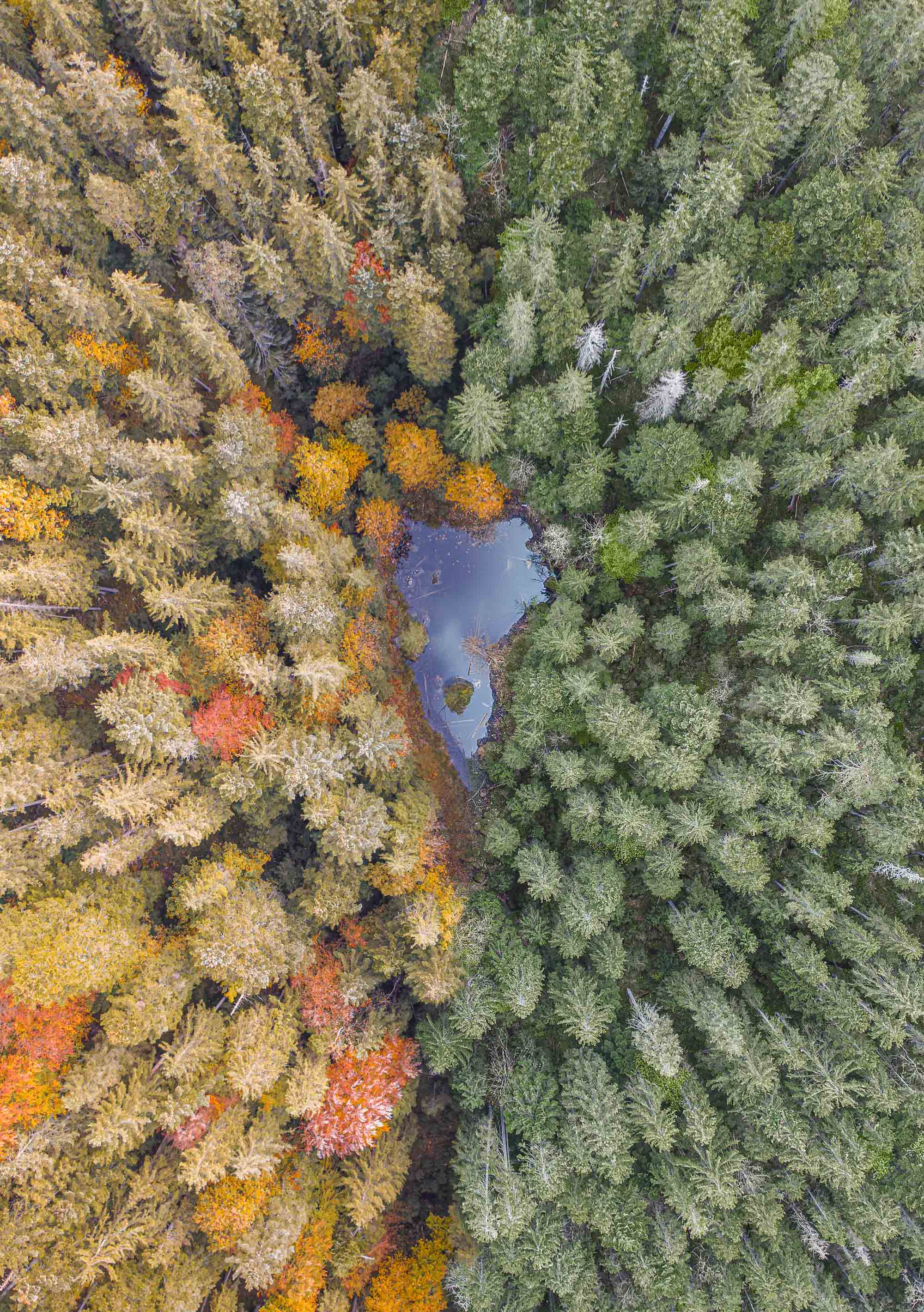Platz Eins Fotowettbewerb Wandel