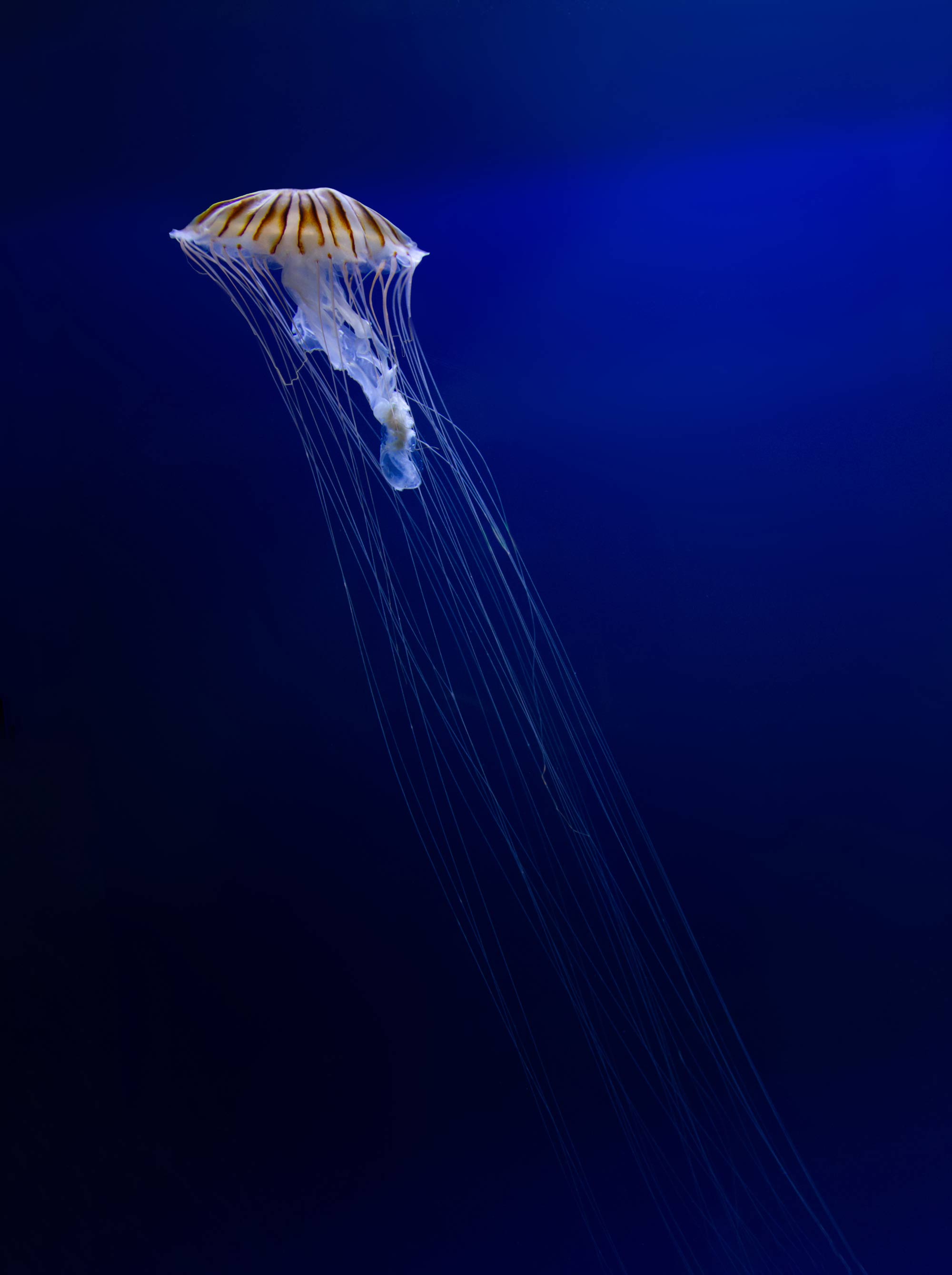 Fotowettbewerb Blau - Platz 6.