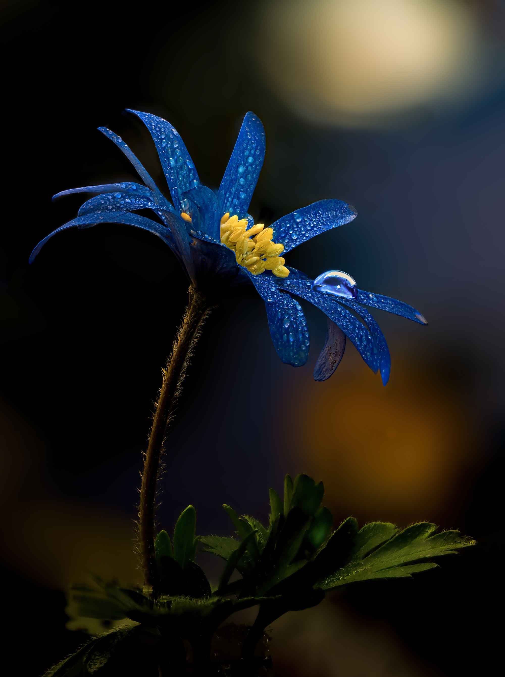 Fotowettbewerb Blau - Platz 10.
