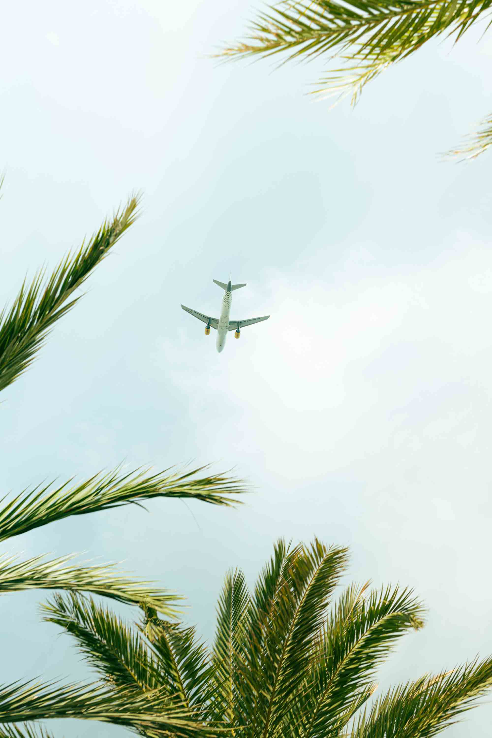 Platz 2 Photo Contest