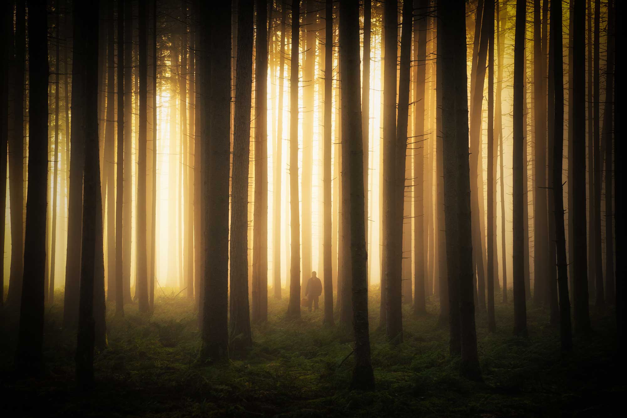 Platz Zwei Fotowettbewerb Lieblingsorte
