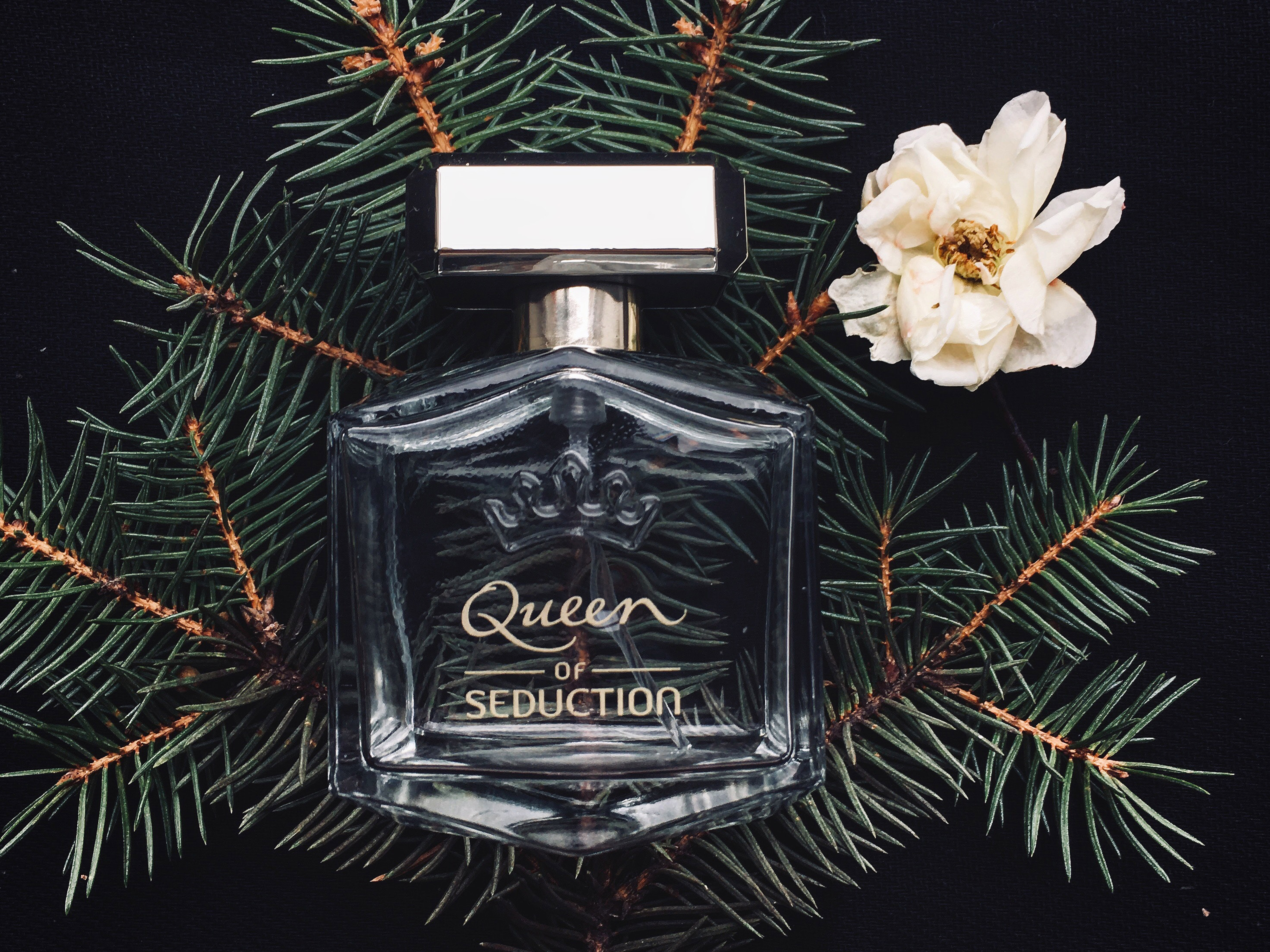 Produktfotos für eine gesteigerte Conversion Rate