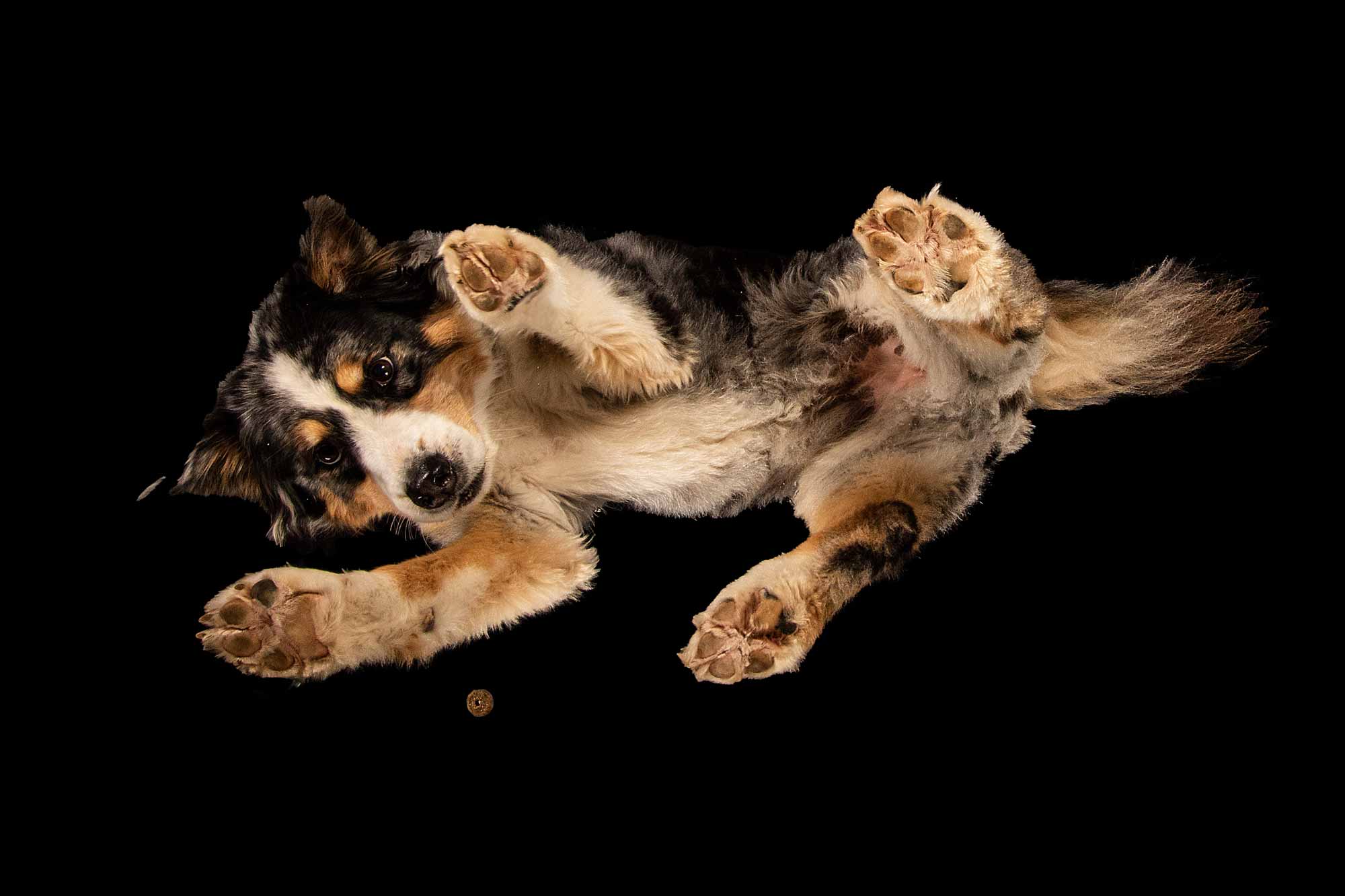 Projekt Underdog Andre Knüwe