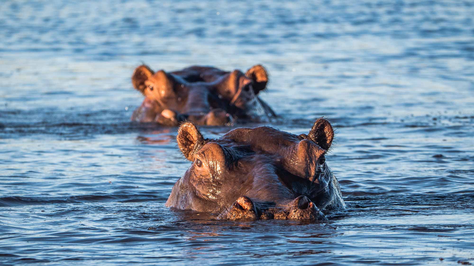 afrika-reise-nicole-verley