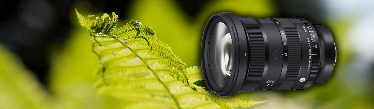 Review Sigma 24-70 DG DN II ART für L-Mount