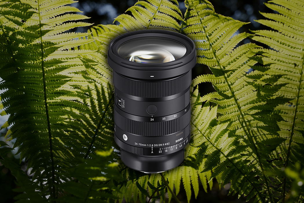 Hands On: Sigma 24-70mm F2,8 DG DN II ART - Der neue Standardzoom
