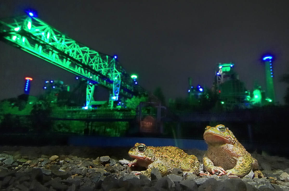 Schnappschuss 61 - Auf Foto-Safari im Ruhrpott Schnappschuss 61 - Auf Foto-Safari im Ruhrpott