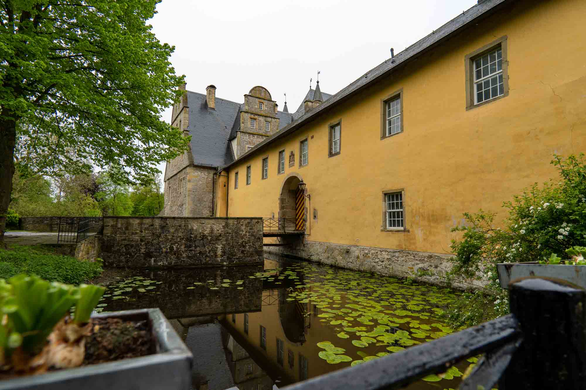 Samyang 12mm f/2.0 Michael Ziegann