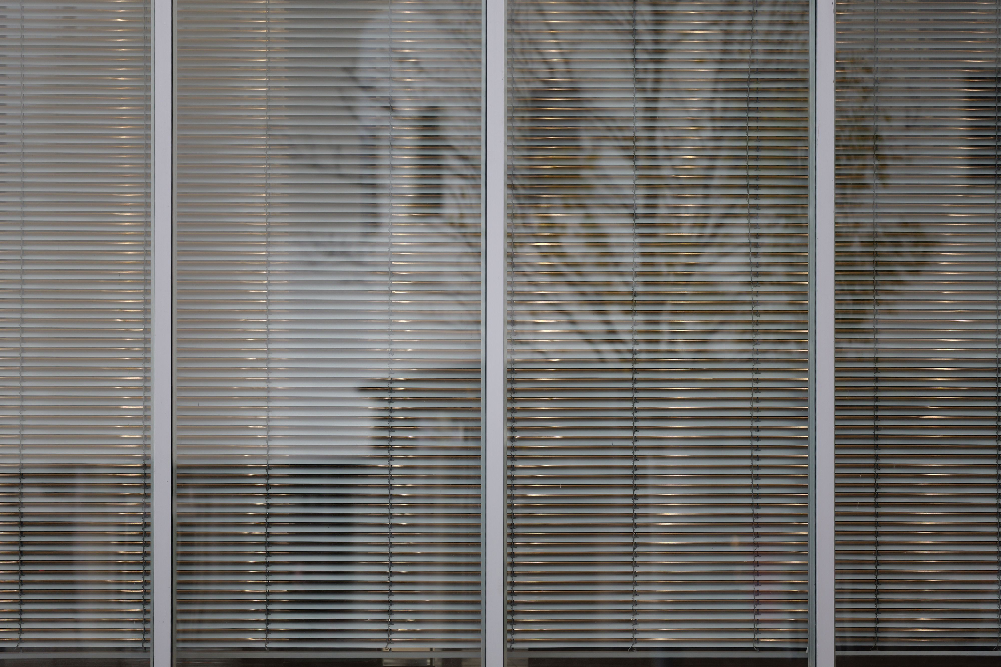 SchÃ¤rfe des Sigma 70-200 DG DN OS S