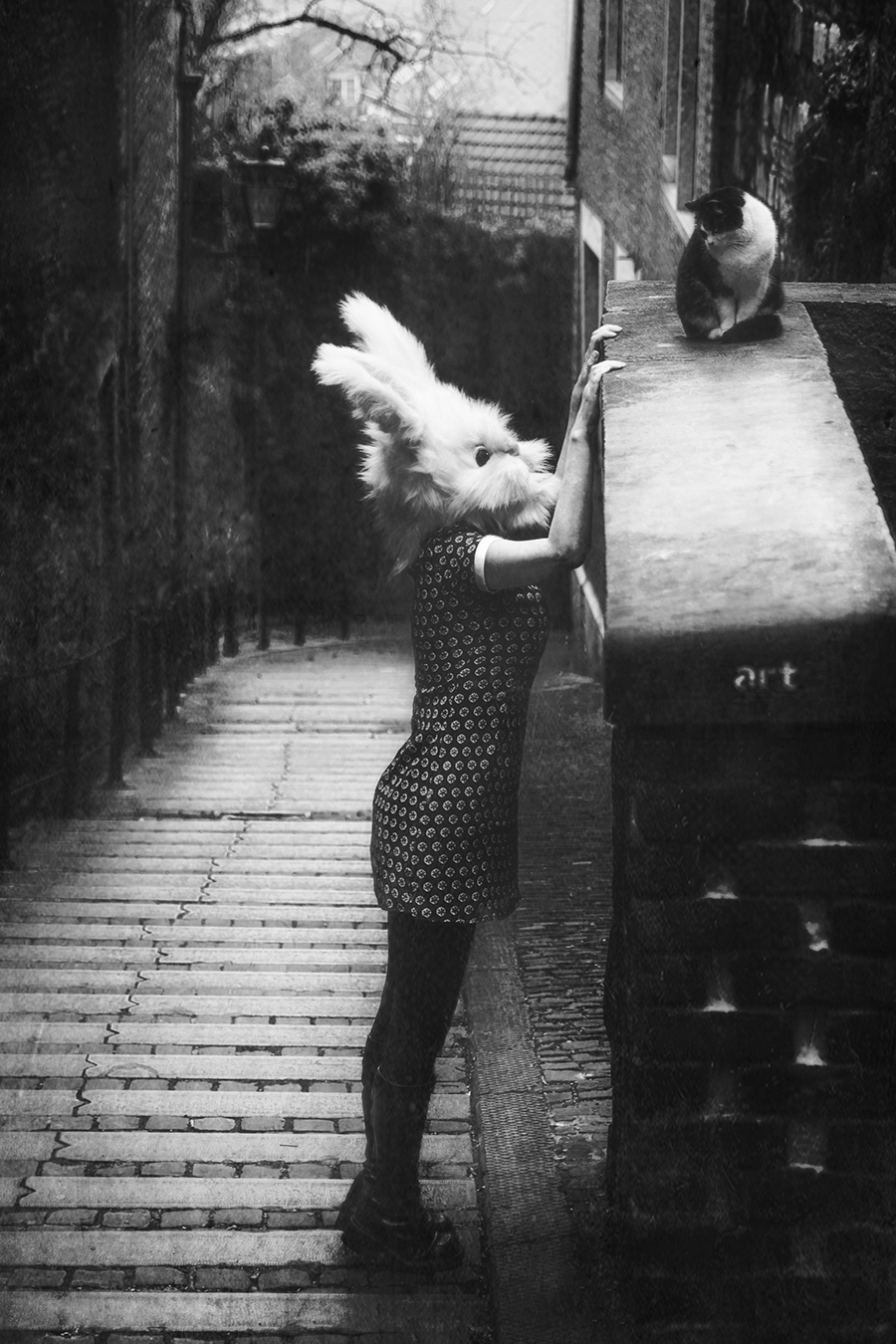 Language Barrier von Mrs. White