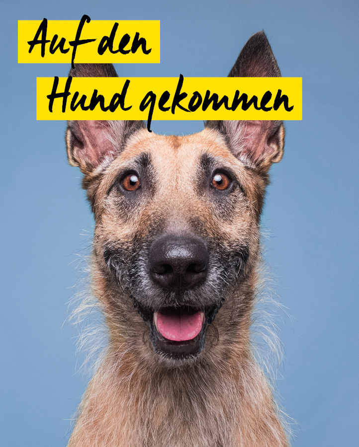 Elke Vogelsang - Auf den Hund gekommen