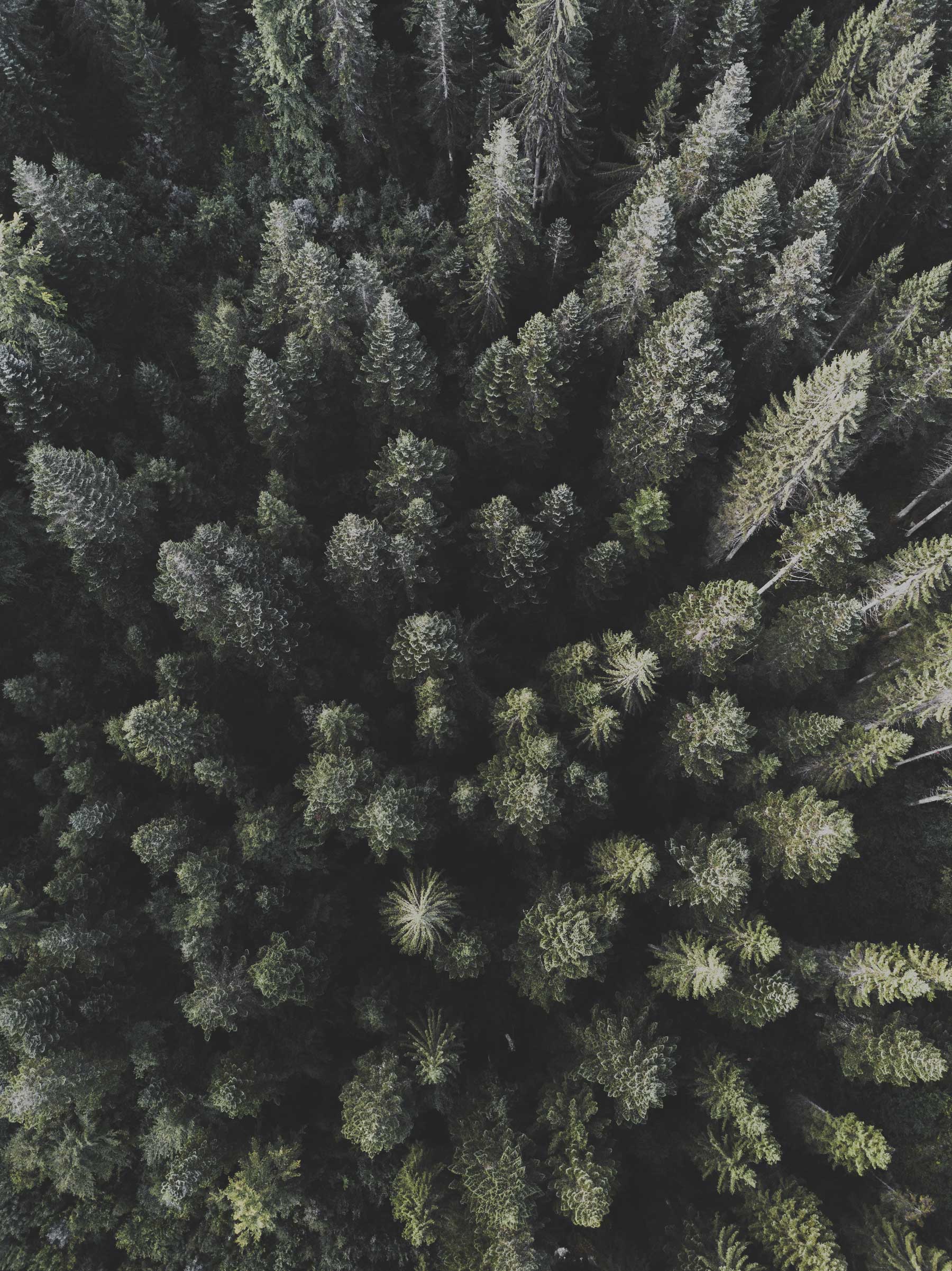 Germandrones Vogelperspektive