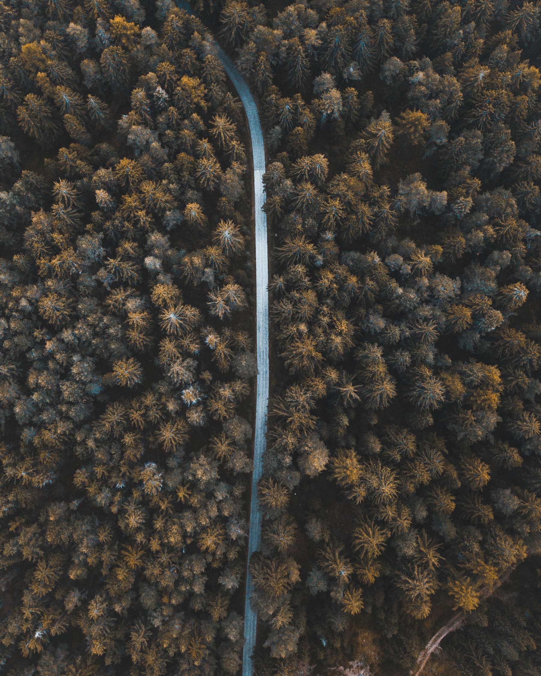 Germandrones Vogelperspektive