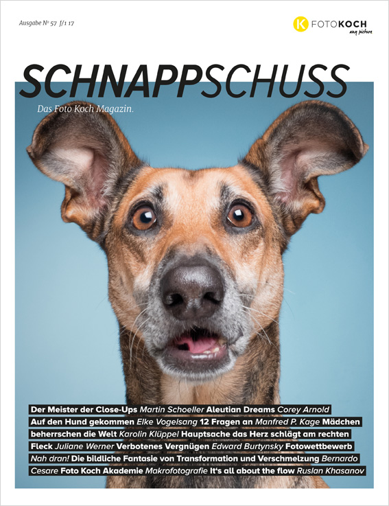 Schnappschuss Ausgabe Close