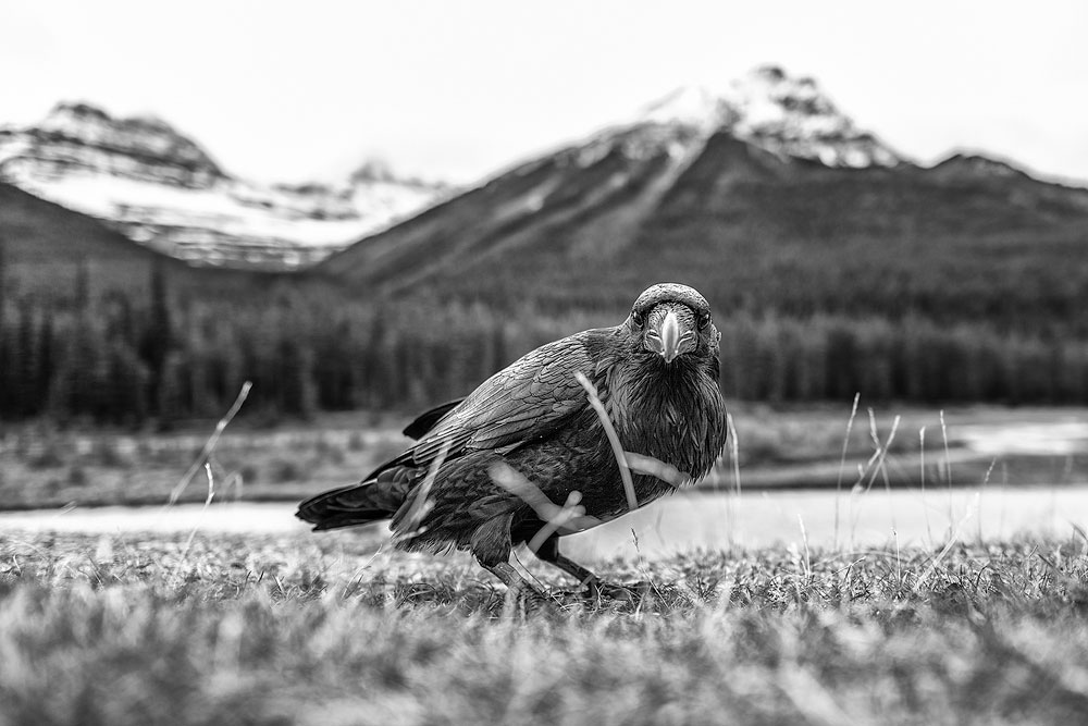 Beispielbild Sigma Art 24-35 mm