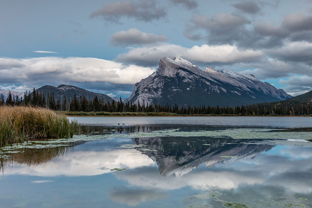 Beispielbild Sigma Art 24-35 mm