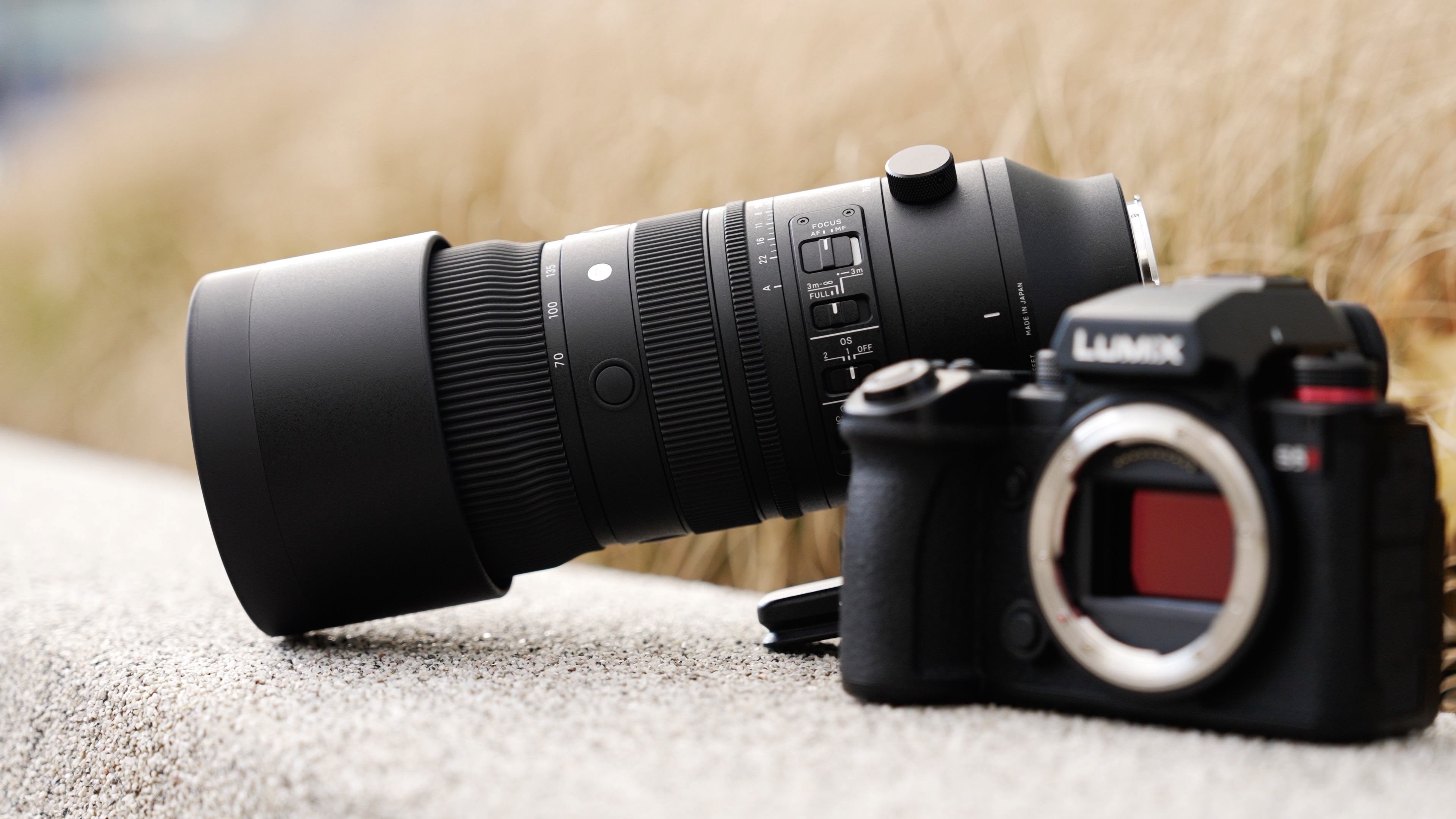 Sigma 70-200mm f2,8 DG DN OS für L-Mount