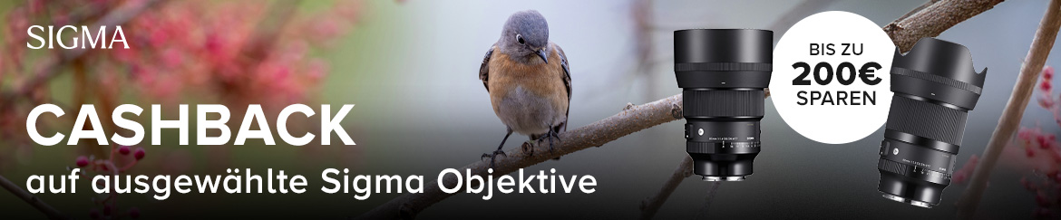Sigma Cashback