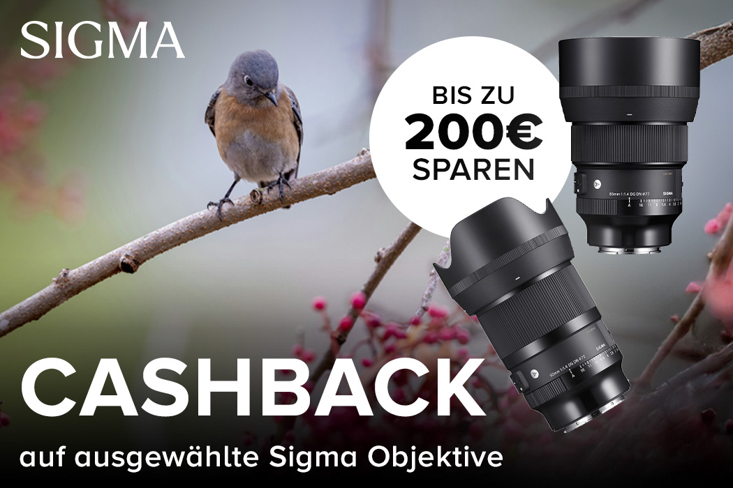 Sigma Cashback